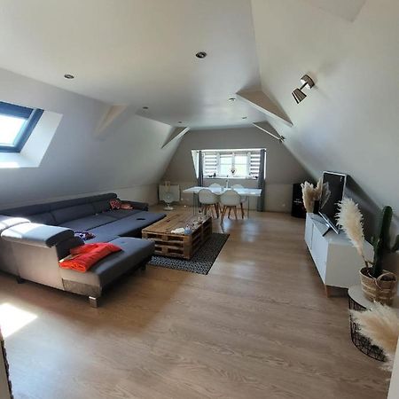 Loft Spacieux Et Lumineux Oloron-Sainte-Marie Εξωτερικό φωτογραφία