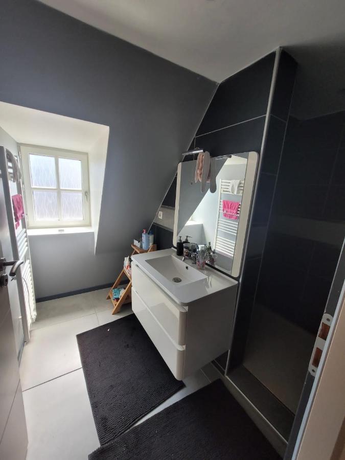 Loft Spacieux Et Lumineux Oloron-Sainte-Marie Εξωτερικό φωτογραφία
