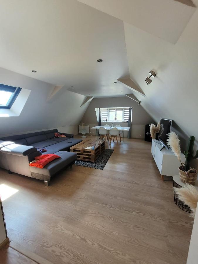 Loft Spacieux Et Lumineux Oloron-Sainte-Marie Εξωτερικό φωτογραφία